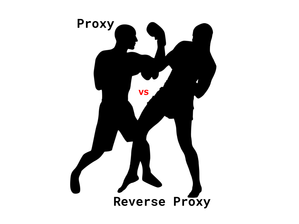 Reverse Proxy